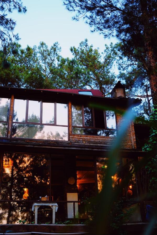 Kayserkaya Cottages Selçuk Exterior foto